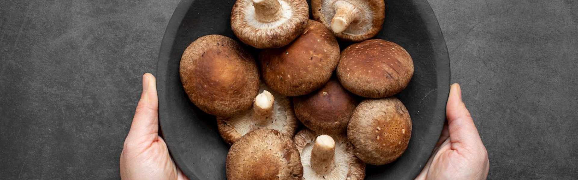 Jak připravit houby Shiitake